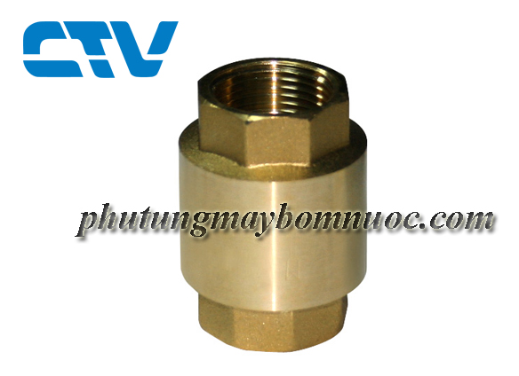 Van một chiều có thân và lò xo bằng đồng