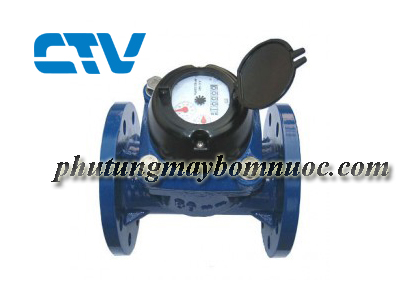 Đồng hồ nước Unik DN80