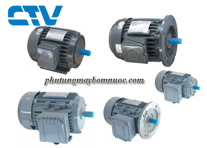 Động cơ máy bơm nước Dolin