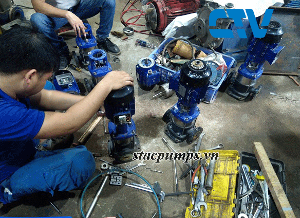 Thay buồng máy bơm trục đứng KSB